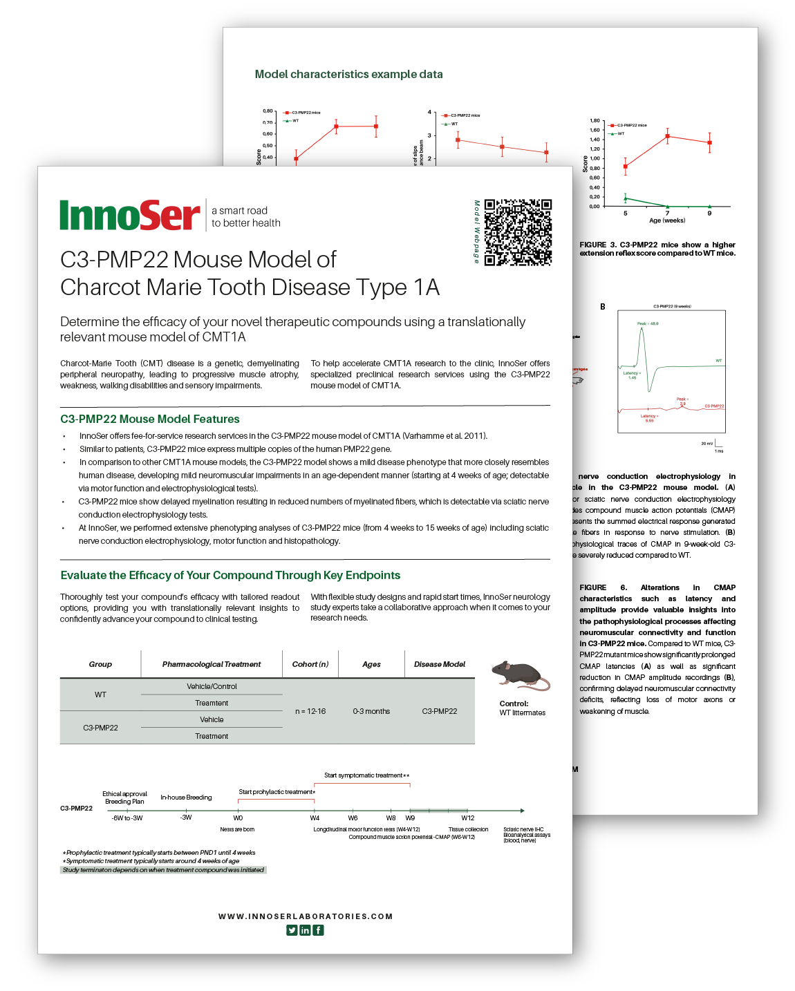 CMT leaflet graphic