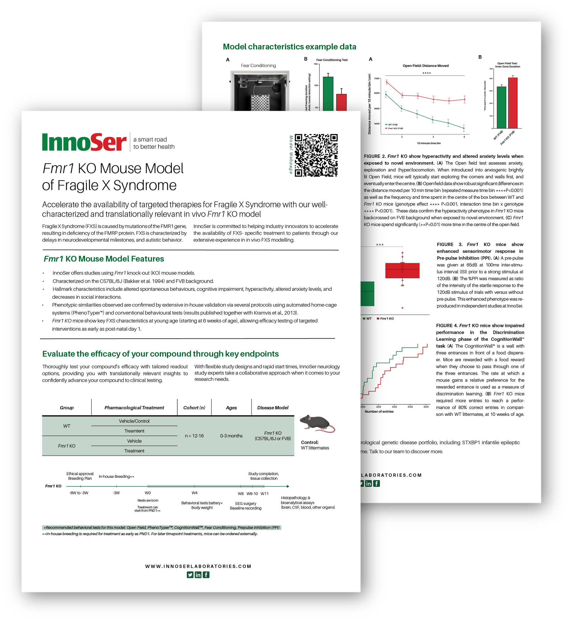 FXS download leaflet