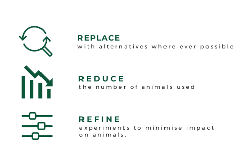 Commitment to the 3Rs summary of principles