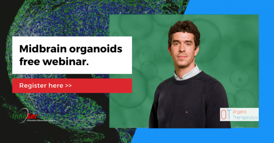 Midbrain Organoids webinar