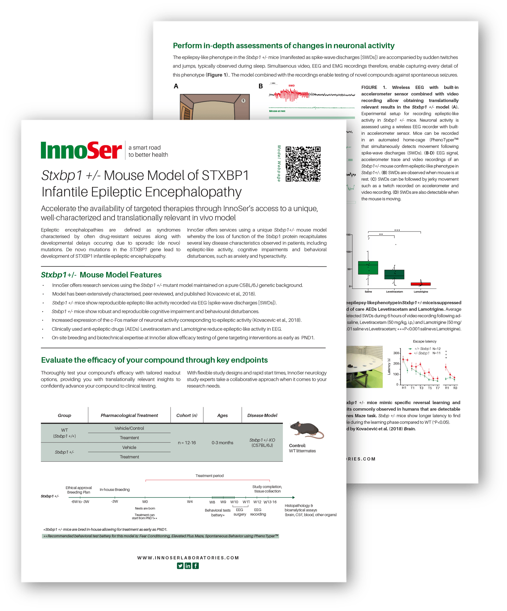 STXBP1 leaflet download